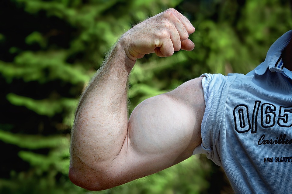muscle arm